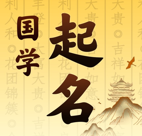 琼山国学起名 人工起名一对一